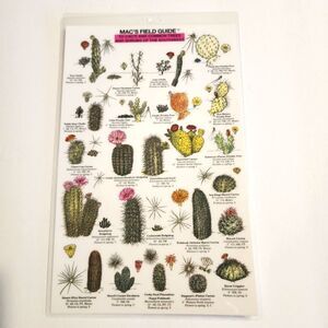 Mac's Field Guide To Cacti and Common Trees and Shrubs of the Southwest